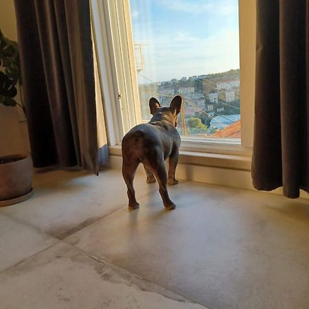 Apartment Eni Ντουμπρόβνικ Εξωτερικό φωτογραφία