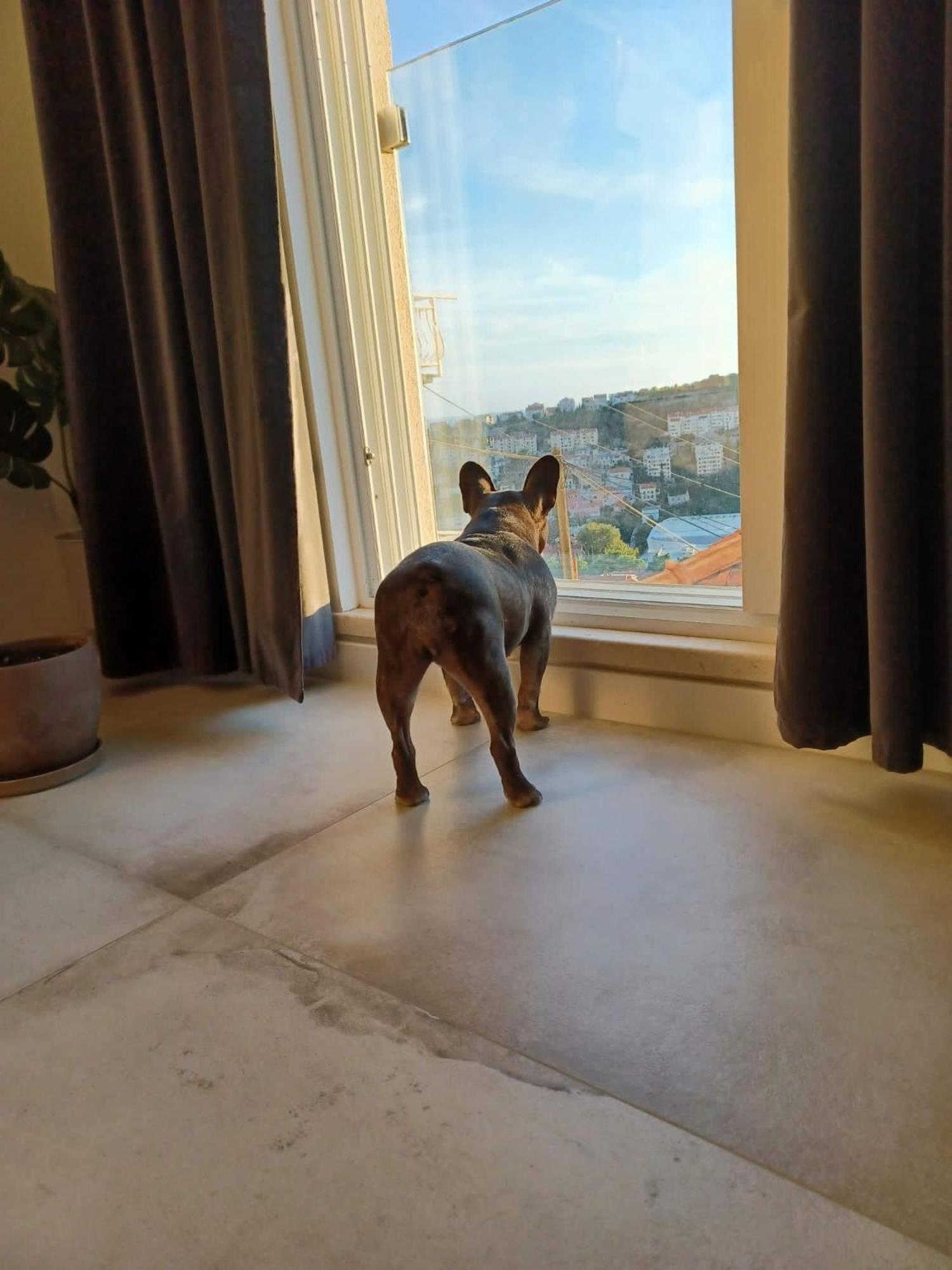 Apartment Eni Ντουμπρόβνικ Εξωτερικό φωτογραφία